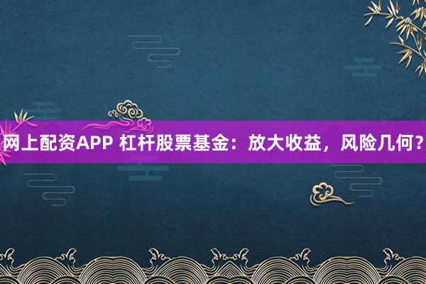 网上配资APP 杠杆股票基金：放大收益，风险几何？