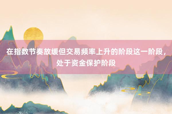 在指数节奏放缓但交易频率上升的阶段这一阶段,处于资金保护阶段