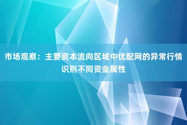 市场观察:主要资本流向区域中优配网的异常行情识别不同资金属性