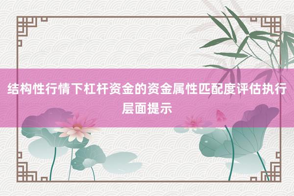 结构性行情下杠杆资金的资金属性匹配度评估执行层面提示