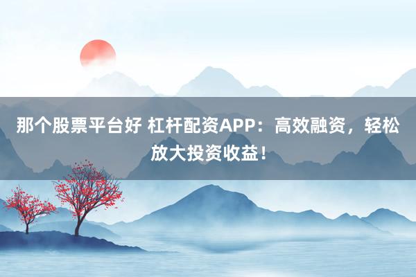那个股票平台好 杠杆配资APP：高效融资，轻松放大投资收益！