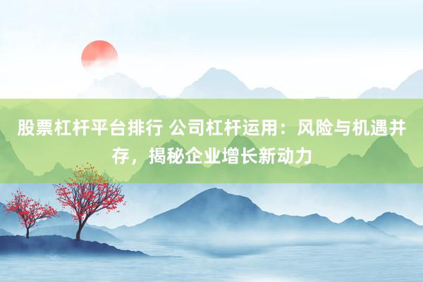 股票杠杆平台排行 公司杠杆运用：风险与机遇并存，揭秘企业增长新动力