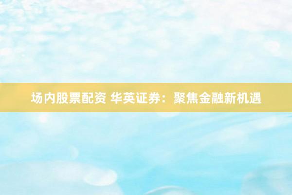 场内股票配资 华英证券：聚焦金融新机遇