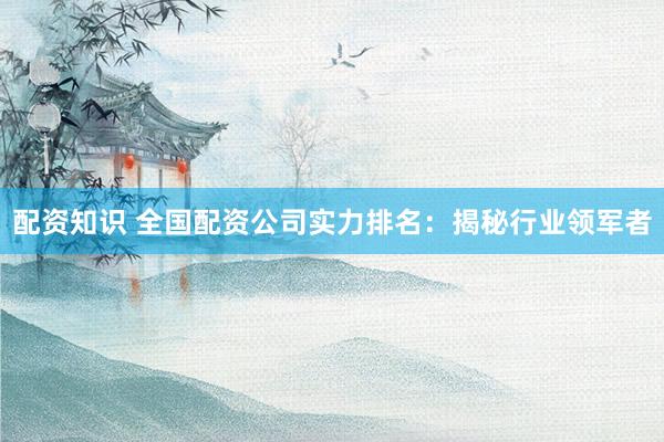 配资知识 全国配资公司实力排名：揭秘行业领军者