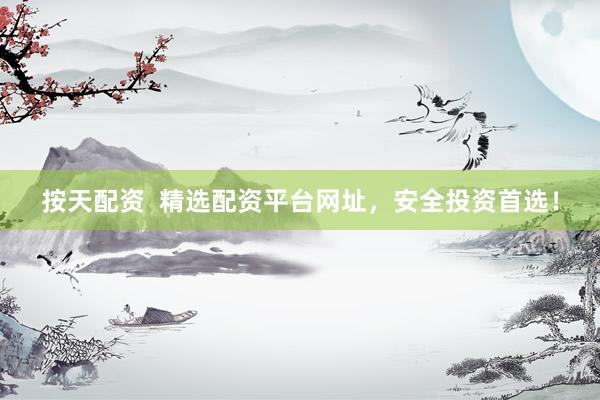 按天配资  精选配资平台网址，安全投资首选！