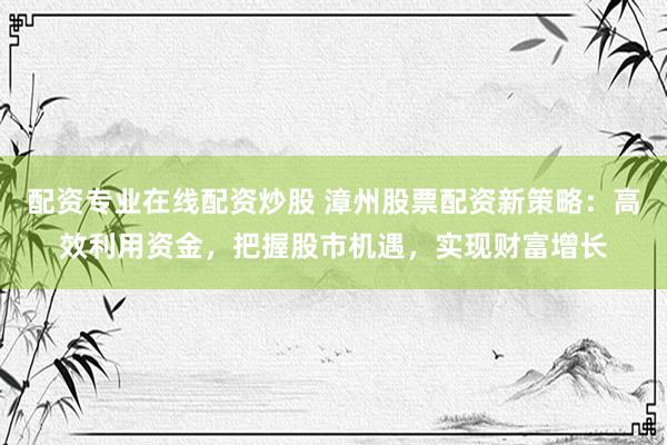配资专业在线配资炒股 漳州股票配资新策略：高效利用资金，把握股市机遇，实现财富增长