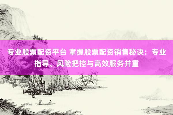 专业股票配资平台 掌握股票配资销售秘诀：专业指导、风险把控与高效服务并重